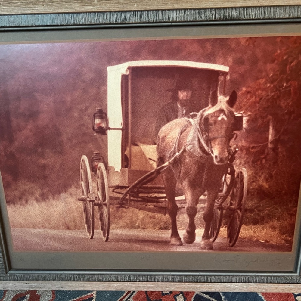 Signed By Photographer Rowan P. Smolcha, Amish Man Driving Horse & Buggy